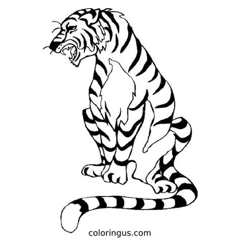 Realistic Tiger Coloring Pages In Pdf Coloringus Molho De Cebola