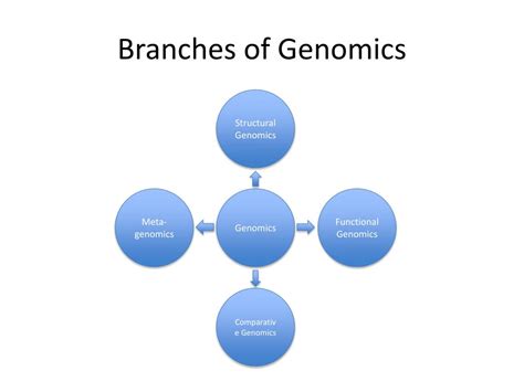 Ppt Functional Genomics Powerpoint Presentation Free Download Id