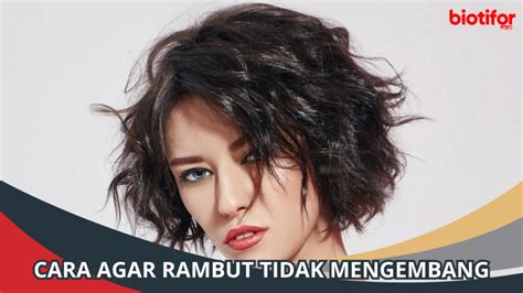 Cara Agar Rambut Tidak Mengembang Tips Rambut Lebih Tertata Biotifor