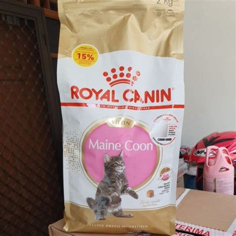 Jual Royal Canin Kitten Maine Coon Kg Makanan Anak Kucing Induk