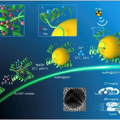 Examples of generation of high-valent metalloenzymes by a modified ...