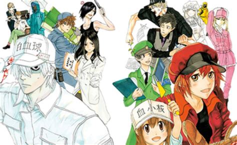 Cells At Work Season 2 Trailer Cast And Spoilers Otakukart News