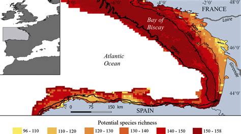 Current Potential Species Richness In The Bay Of Biscay N 163