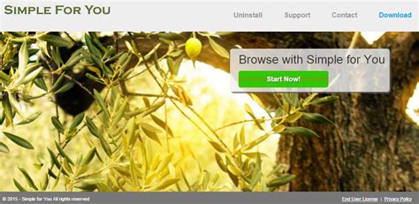 remove simple     remove