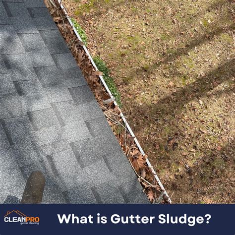 What Is Gutter Sludge House Gutter Cleaning