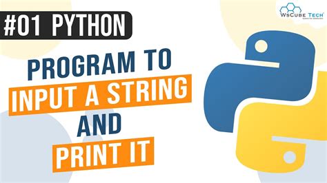 Python Program To Input A String And Print It Python Programming In