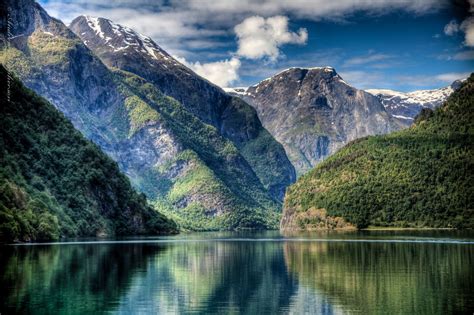 Nærøyfjord Norway - Nærøyfjord, Norway. UNESCO World Heritage Norway Forest, Norway Nature ...
