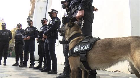 La Polic A Local Incorpora Dos Nuevos Furgones Destinados A La Unidad