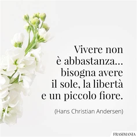 Frasi Sulle Piccole Cose In Inglese E Italiano