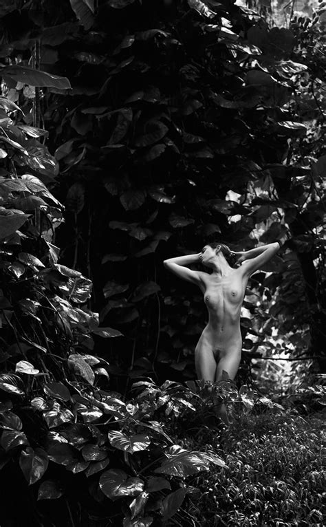 Photographer Michael Pannier Nude Art And Photography At Model Society