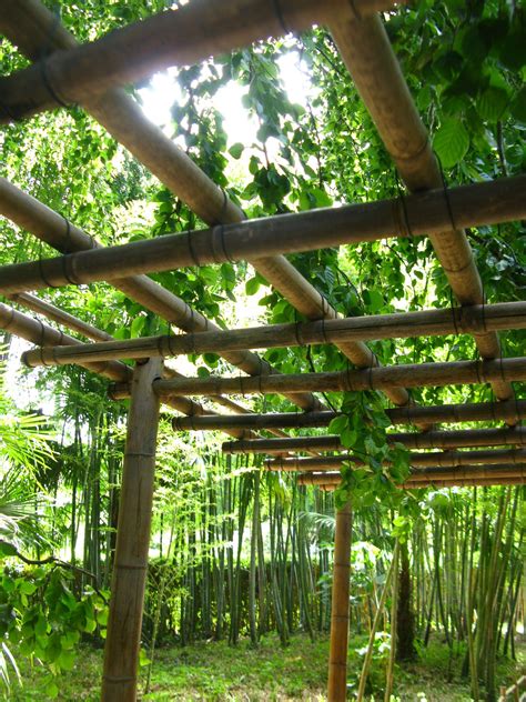 Comment Fabriquer Une Pergola En Bambou Tuto En Etapes Artofit