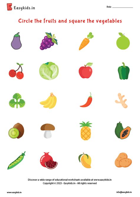 Circle The Fruits And Square The Vegetables Worksheet