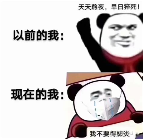 Chinese Panda Memes Biaoqing Panda Head Chinese Panda Reaction