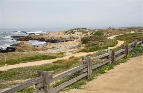 Asilomar State Beach in Pacific Grove, CA - California Beaches