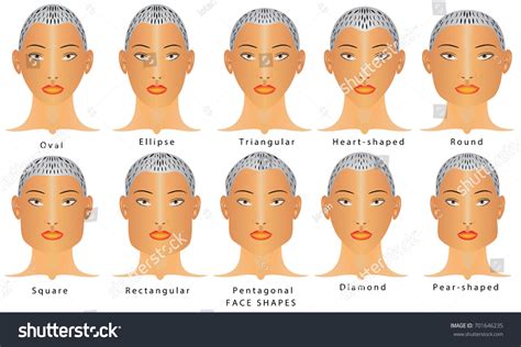 Types Faces Face Shapes Set Different Stock Vector (Royalty Free ...