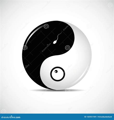 Yin Yang Male Female Symbols Vector Illustration