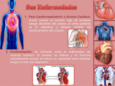 El Corazón Enfermedades Y Síntomas Ppt