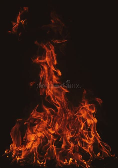 The Fire Burning Flame Large Burning Flaming Fire Stock Image