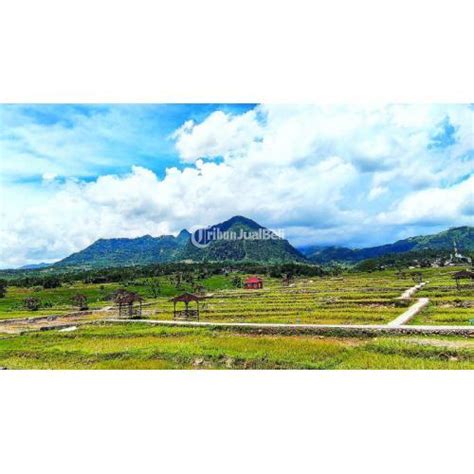 Dijual Tanah Kavling Sawah Produktif Di Jalur Wisata Puncak Lokasi