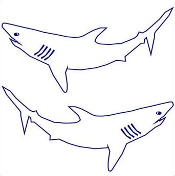 Shark Outline - ClipArt Best