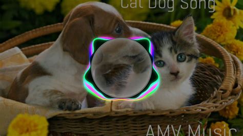 Cat Dog Song Youtube