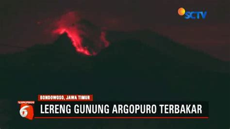 Lereng Gunung Argopuro Terbakar Upaya Pemadaman Sulit Dilakukan News