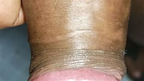 Big Ass Cock XHamster