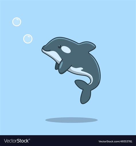 A cute orca whale Royalty Free Vector Image - VectorStock