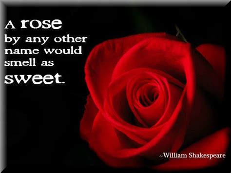 A Rose By Any Other Name Quote - ShortQuotes.cc