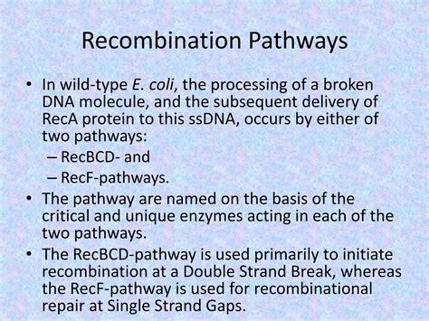 Biology Of Homologous Recombination In Bacteria Ppt