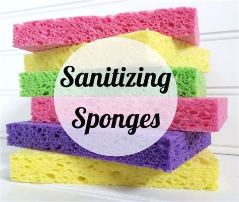 How To Sanitize Sponges Lemons Lavender Laundry Cleaning Hacks