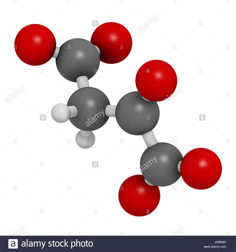 Oxaloacetic Acid Oxaloacetate Metabolic Intermediate Molecule 3d