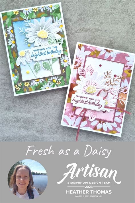 Fresh As A Daisy By Stampin Up The Songbird Stamper Daisy Cards