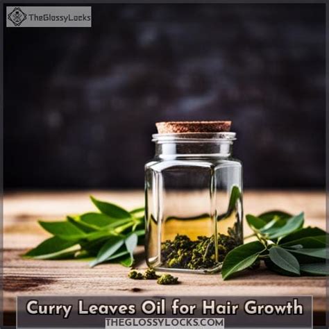 Make Curry Leaves Oil For Hair Growth At Home Benefits Of Curry Leaves Oil