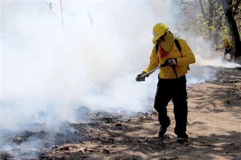 Incendios Forestales Se Intensifican En Abril Y Mayo Conafor