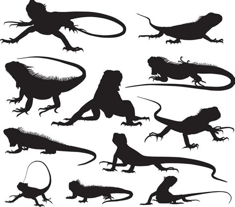 Iguana Silhouette Vector Art, Icons, and Graphics for Free Download