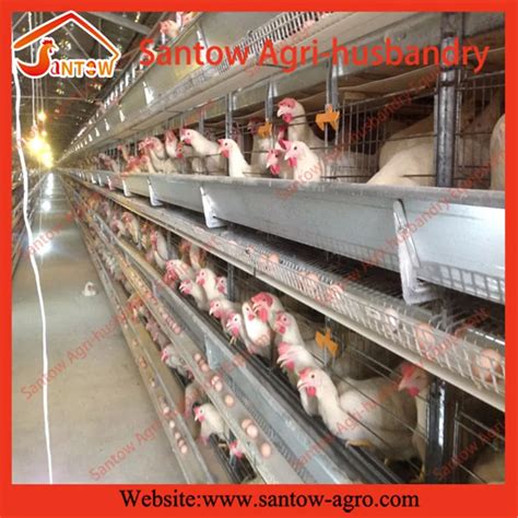 Vertical H Type Chicken Cage Poultry Layer Cage Poultry Cage Rearing In