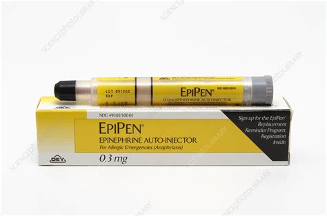 EpiPen (Epinephrine Autoinjector) - Stock Image - C017/4917 - Science ...