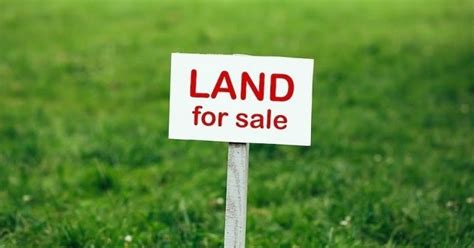 How To Look For A Land For Sale Zona Result