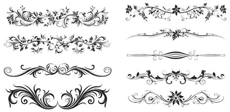 premium vector set  vines