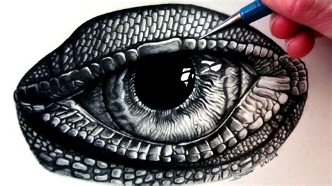 Lizard Drawing at GetDrawings | Free download