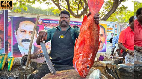 Kasimedu Speed Selvam Big Red Snapper Fish Cutting In Kasimedu