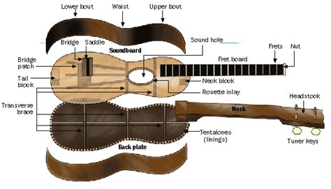 Ukulele Diagram Of Parts