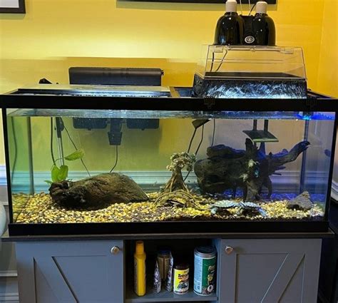 28 Turtle Tank Decoration Ideas You & Your Turtle Will Love – The Turtle Hub