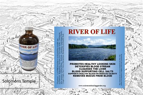 River Of Life | Healing Starts Here!