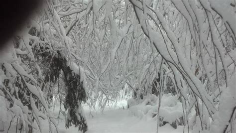 Yurt in the Snow - Yurt Forum - A Yurt Community About Yurts