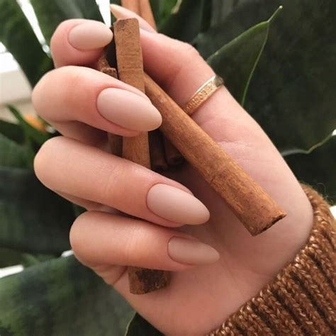 Thumb Gold Ring On A Hand Holding Several Cinnamon Sticks Oval Nails With Matte Nude Nail