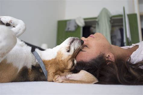 The Health Benefits Of Owning A Pet Willingness