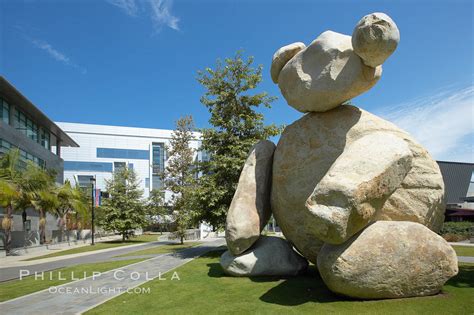 Bear University Of California San Diego La Jolla 21245