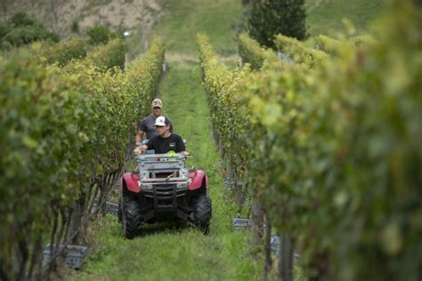 Top Wineries Of New Zealand 2023easthope Winegrowers The Real Review